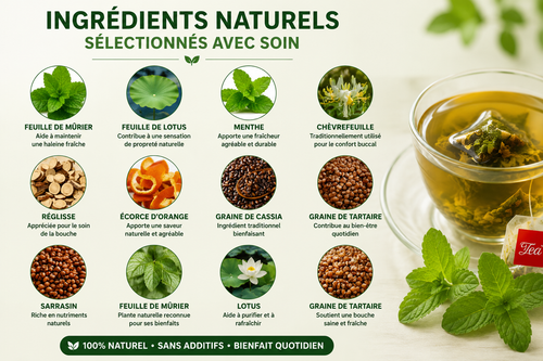 Thé Haleine Fraîche – Infusion Naturelle | 15 Sachets | NovaTeranga